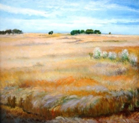 Ocracoke Marsh from Southpoint Road 